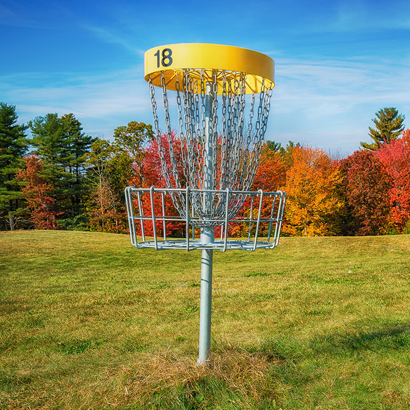 Disc golf basket on a course